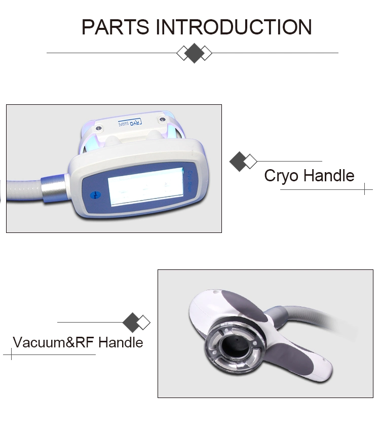 Beir Multifunction Cryolipolysis Salon Cryo Lipolaser Slimming Diode Lipolaser Coolplas Body Shape Cavitation Vacuum Criolipolisis Machine Ctl29