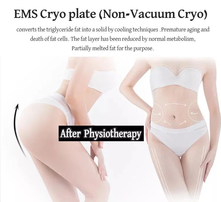 Cryotherapy Freezing Fat Slimming Machine Multi-Function Cryolipolysis Slimming Machine