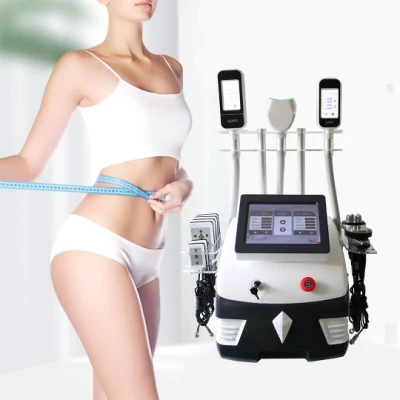 Gros Cryolipolysis Lipolaser 40kHz Cavitation RF beauté multifonction amincissant la machine