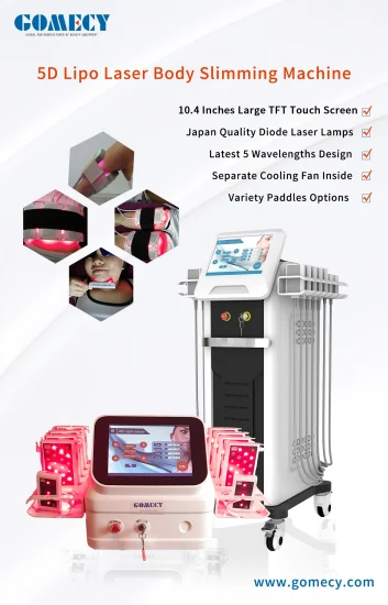 5D Lipo Laser amincissant la thérapie de lumière rouge de diode de Lipolaser 650nm de machine